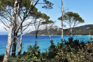Porquerolles yacht charter